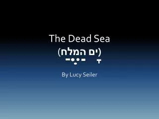 The Dead Sea ( ים המלח )