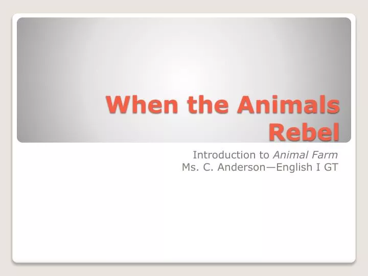 when the animals rebel