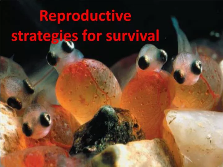 reproductive strategies for survival