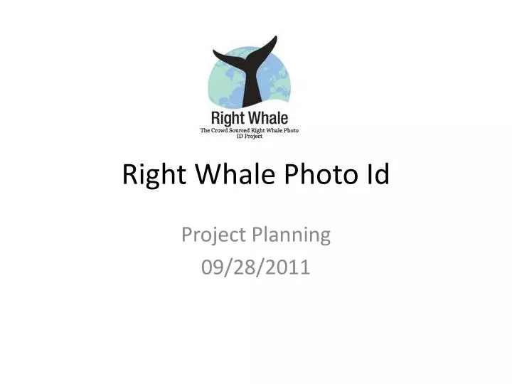 right whale photo id
