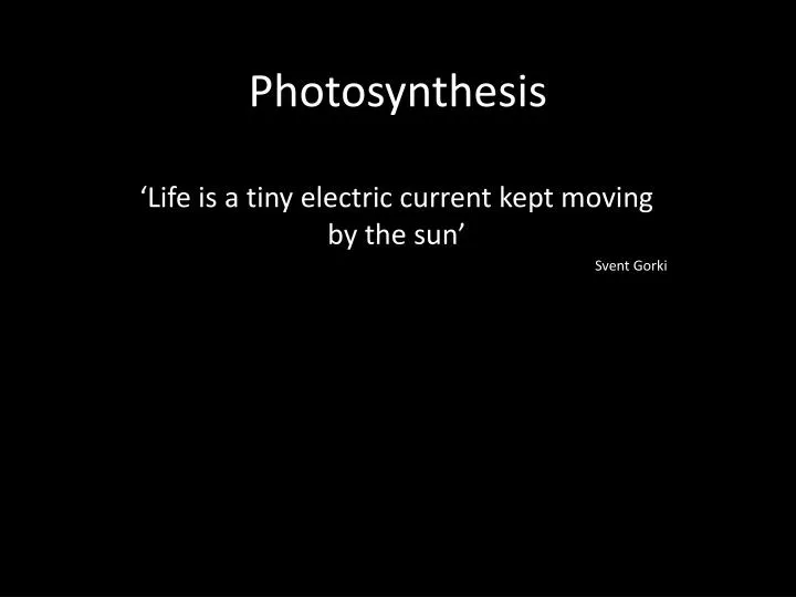 photosynthesis