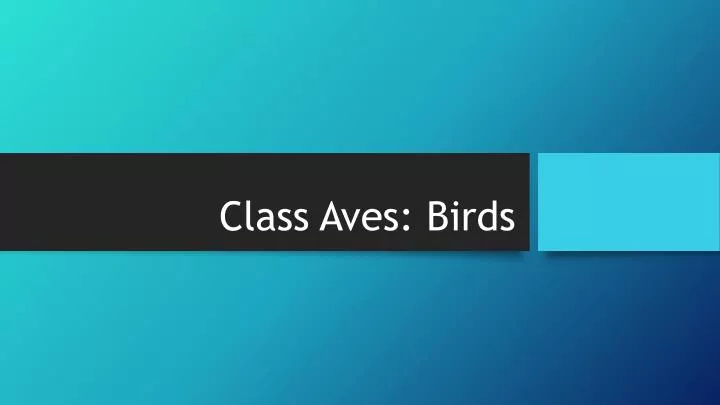 class aves birds