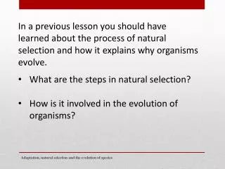 What are the steps in natural selection? H ow is it involved in the evolution of organisms?