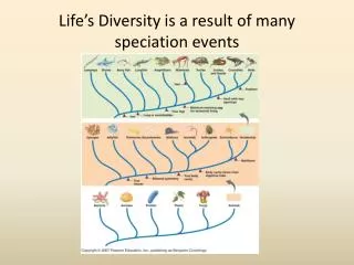 life s diversity is a result of many speciation events