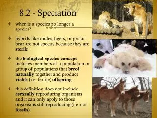 8.2 - Speciation