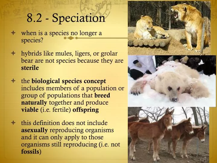 8 2 speciation