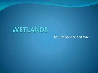 wetlands