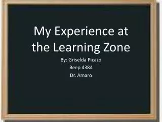 My Experience at the Learning Zone By: Griselda Picazo Beep 4384 Dr. Amaro