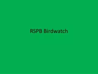 RSPB Birdwatch