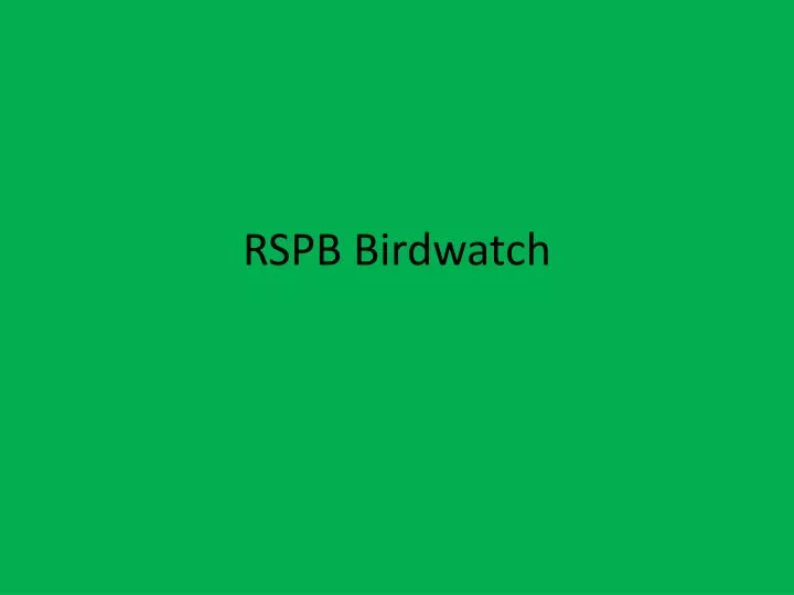 rspb birdwatch