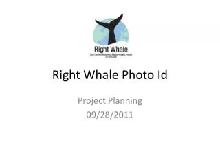 Right Whale Photo Id