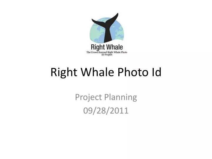 right whale photo id