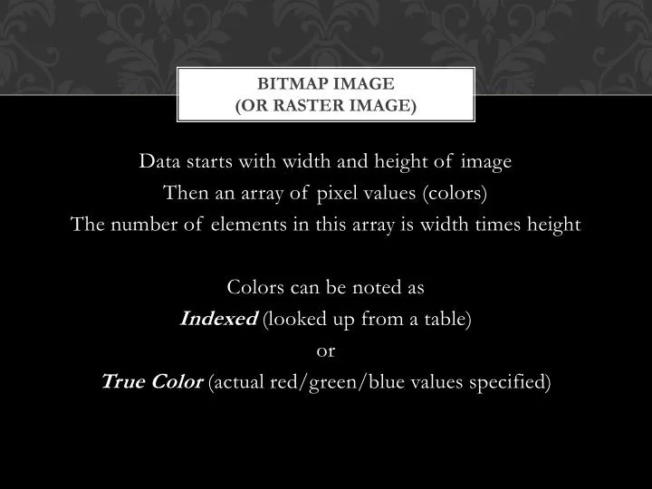 bitmap image or raster image