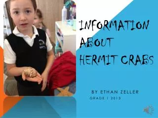 Information About Hermit Crabs
