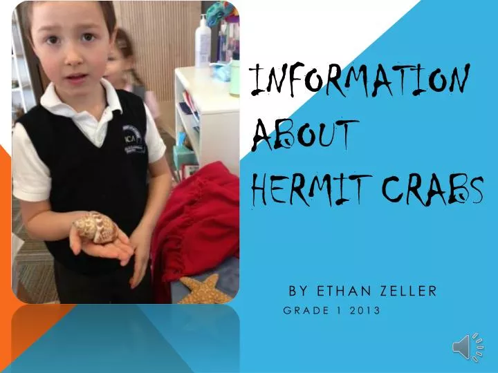 information about hermit crabs