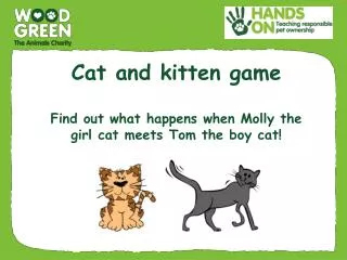 Cat and kitten game F ind out what happens when Molly the girl cat meets Tom the boy cat!
