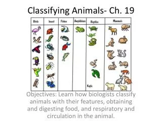 Classifying Animals- Ch. 19