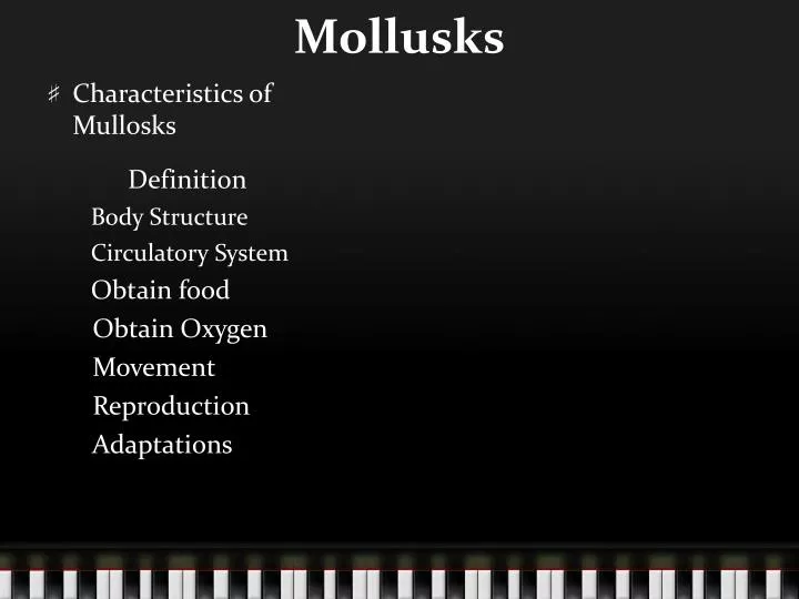 mollusks