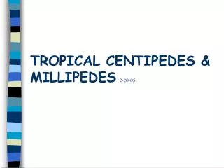 TROPICAL CENTIPEDES &amp; MILLIPEDES 2-20-05