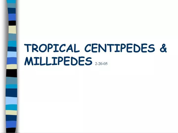 tropical centipedes millipedes 2 20 05