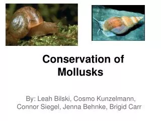 Conservation of Mollusks