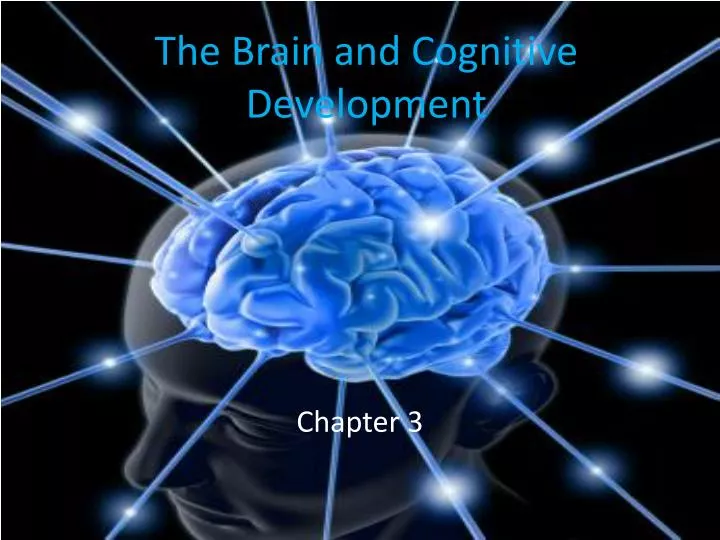 the brain and cognitive development