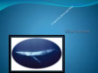 Blue whales