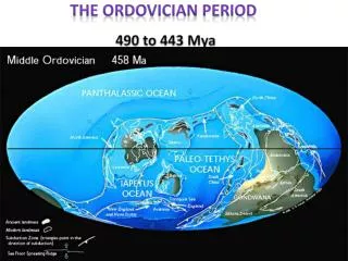 The Ordovician Period 490 to 443 Mya