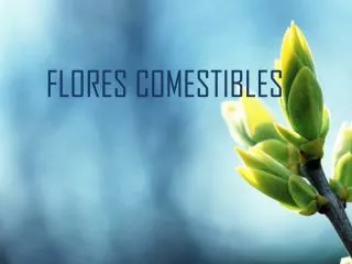 flores comestibles