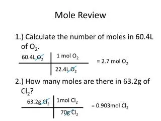 Mole Review