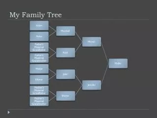 my family tree