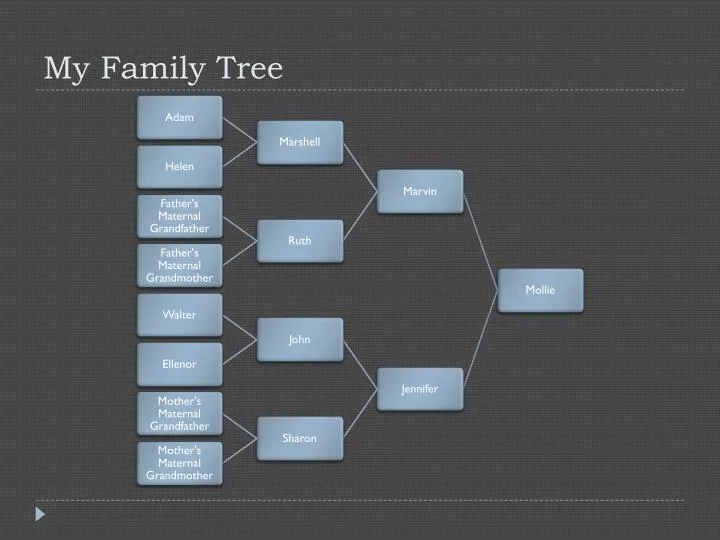 my family tree