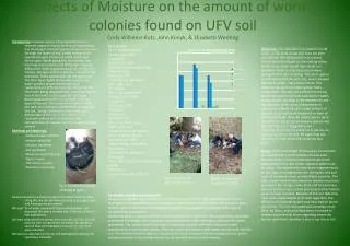 Data Analysis: Plot 1: Moisture level 1 Canopy cover: 95% -Douglas fir Shrub Cover: 50%