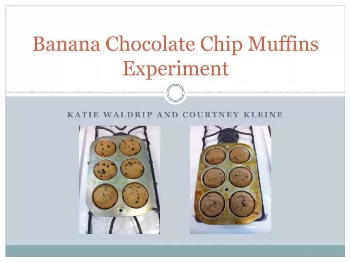 banana chocolate chip muffins experiment