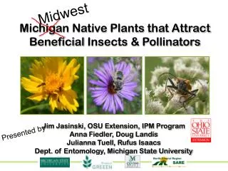 Michigan Native Plants that Attract Beneficial Insects &amp; Pollinators