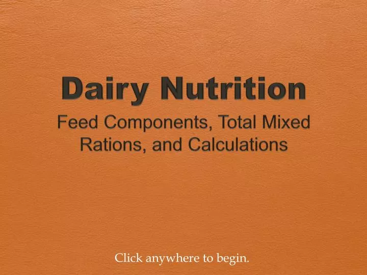 dairy nutrition