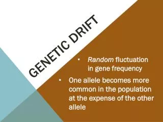 genetic drift