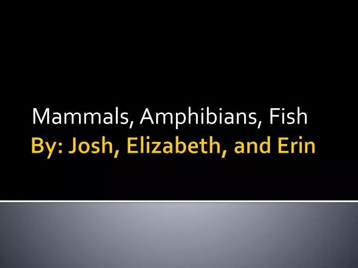 mammals amphibians fish