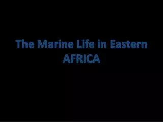 The Marine Life in Eastern AFRICA