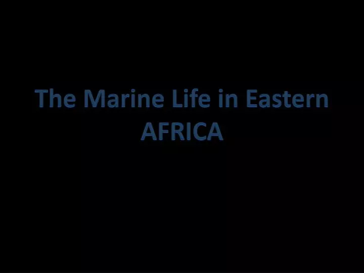 the marine life in eastern africa