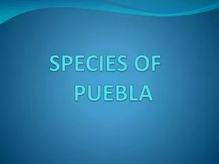 SPECIES OF PUEBLA