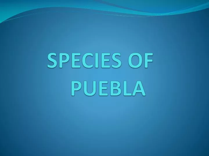 species of puebla