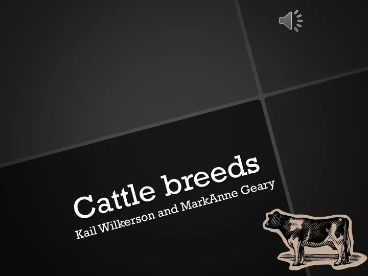 cattle breeds
