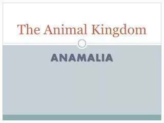 the animal kingdom