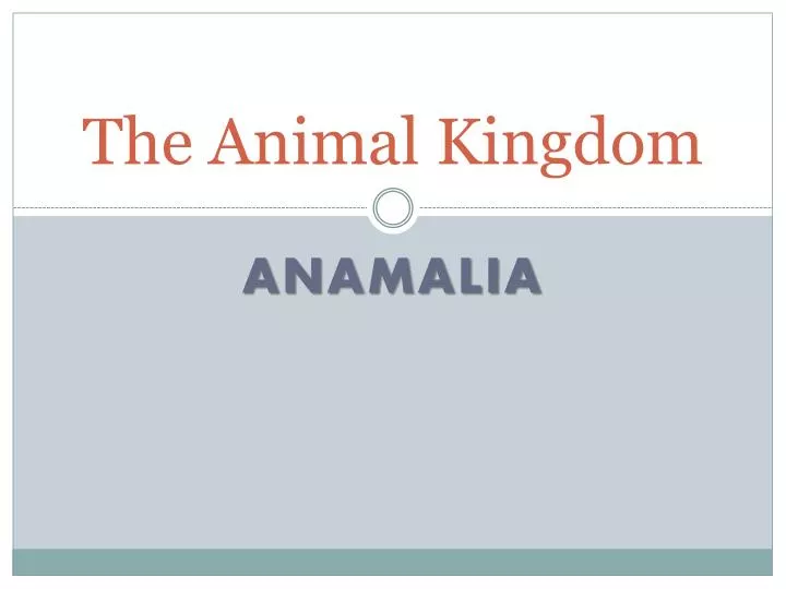 the animal kingdom