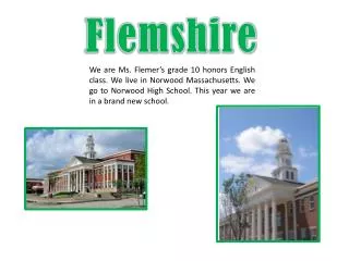 Flemshire