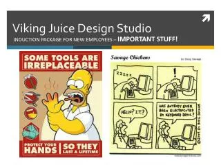 Viking Juice Design Studio