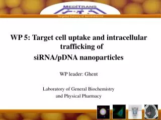 WP 5: Target cell uptake and intracellular trafficking of siRNA/pDNA nanoparticles