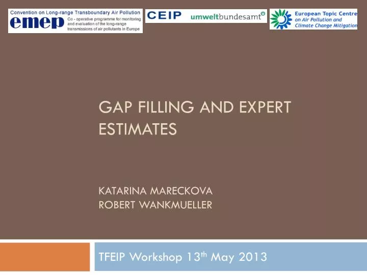 gap filling and expert estimates katarina mareckova robert wankmueller