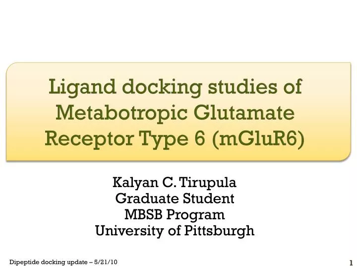 ligand docking studies of metabotropic glutamate receptor type 6 mglur6